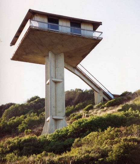 Frank Dixon's House on a Pole at Fairhaven